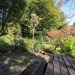 The Mounting Steps *