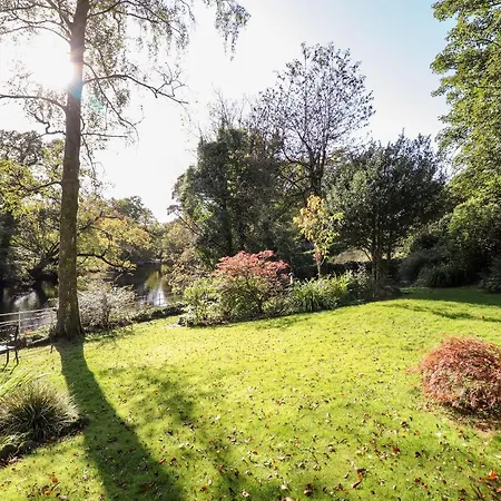 The Mounting Steps *